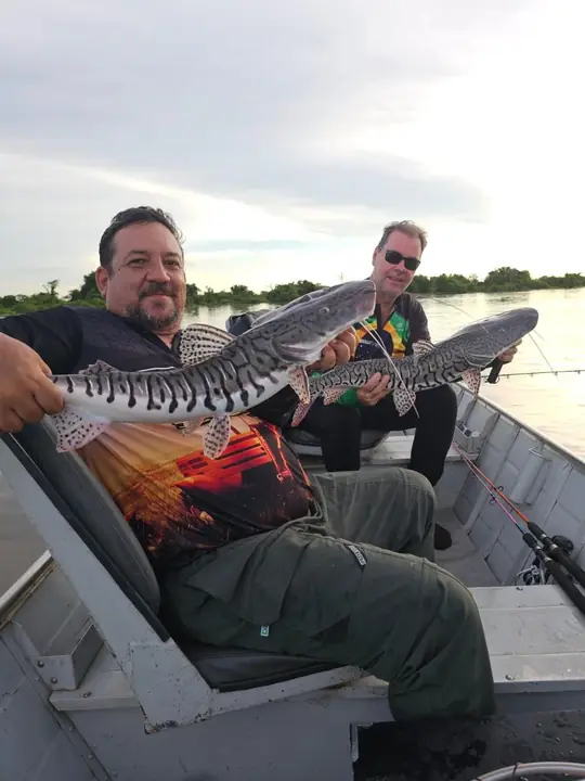 Cachara pescado no Pantanal