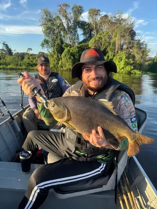 Pacu pescado no Pantanal